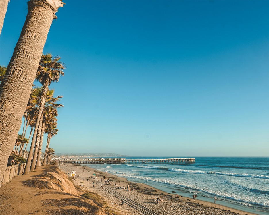 Pacific Beach Vinyl Wrap & Paint Protection Film | San Diego