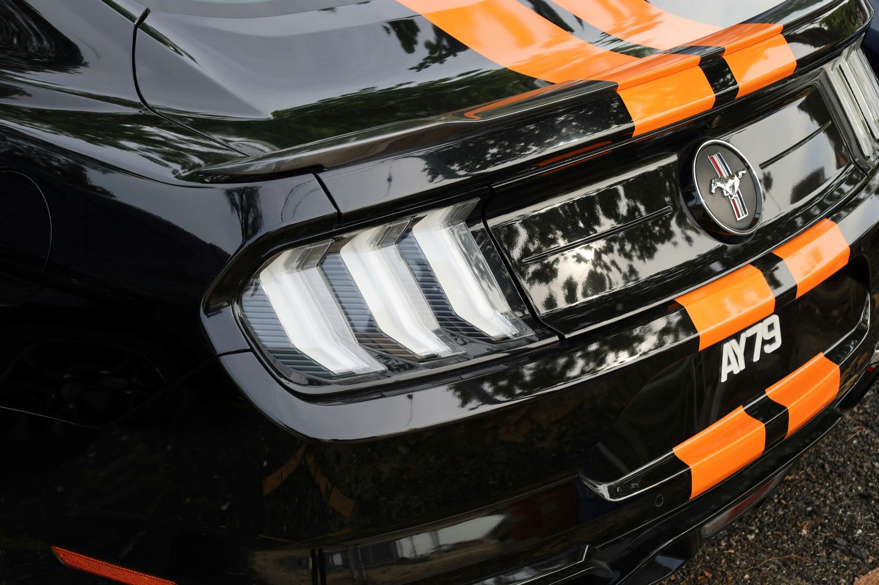 San Diego racing stripes San Diego racing stripes