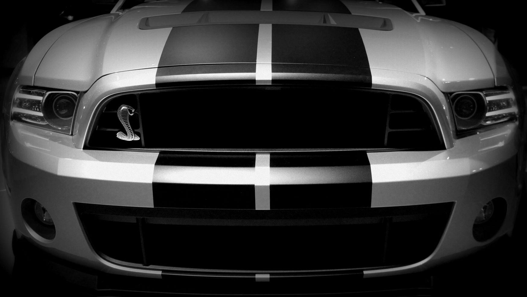 racing stripes san diego racing stripes san diego